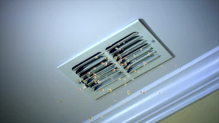 Best Professional Duct Cleaning Services  in Athens, TX