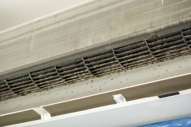 Best Ductwork Cleaning Services  in Athens, TX